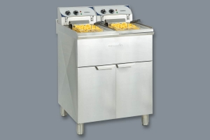 Friteuse électrique sur pieds 2 bacs